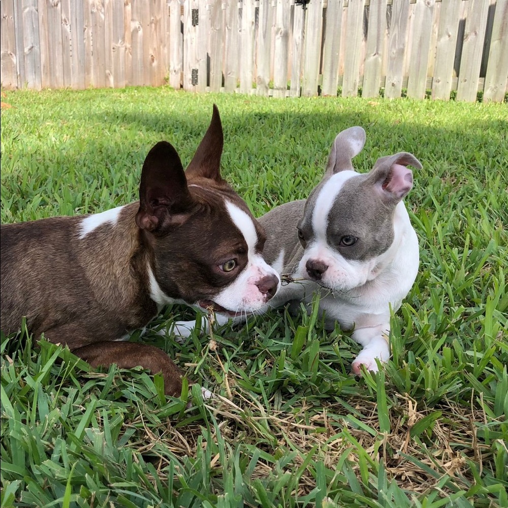 Meet your Posher, Vanessa